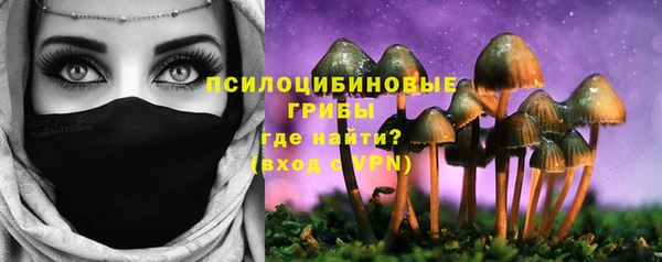 MDMA Богородицк